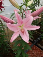 [5350 Chelsea DJ No01.JPG]